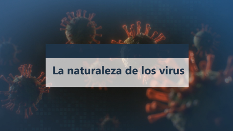 La naturaleza de los virus