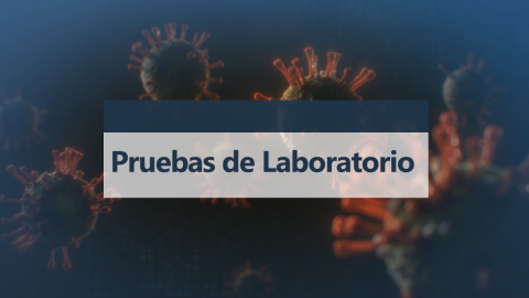 Pruebas de laboratorio