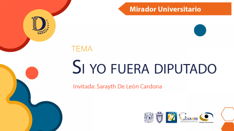 Si yo fuera diputado