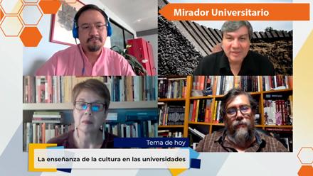 17.- La enseñanza de la cultura en las universidades